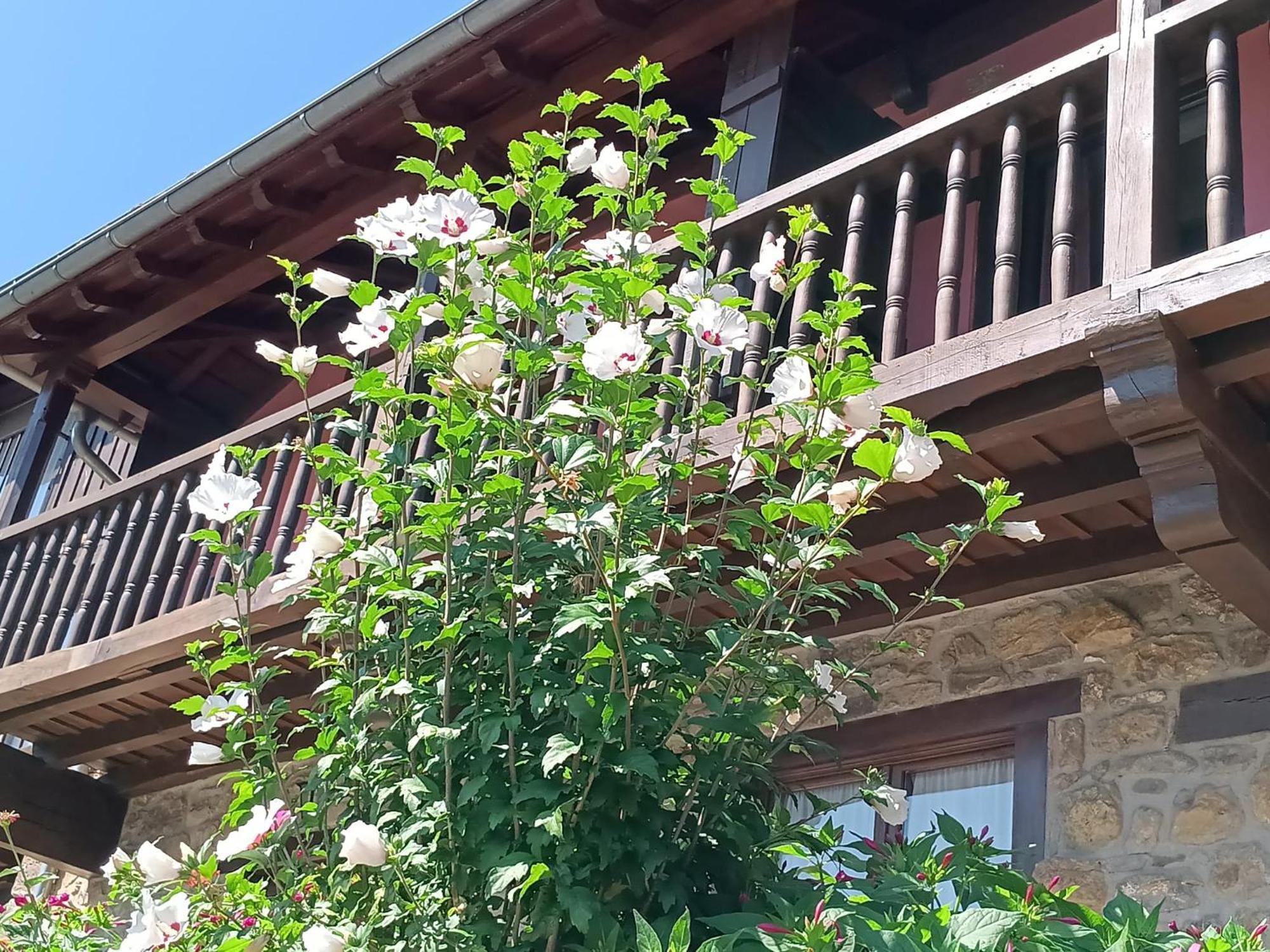 Apartamentos Calm & Nature - Adults Only Cabezón de Liébana Exterior foto